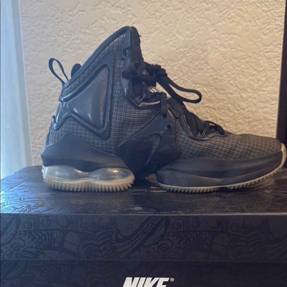 LeBron 19s size 5.5